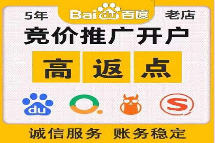 SEM运营策略案例分析